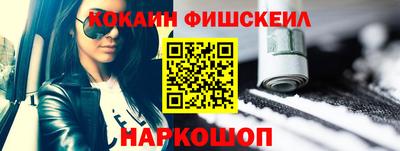 крисы Кулебаки