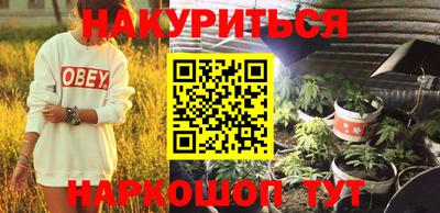 крисы Кулебаки