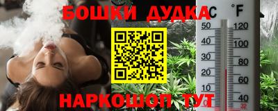 крисы Кулебаки