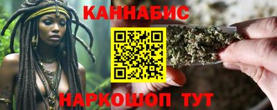 крисы Кулебаки