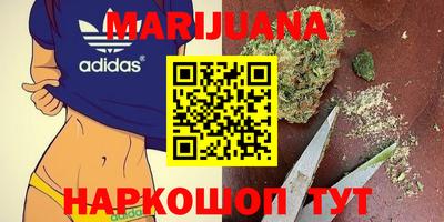 крисы Кулебаки