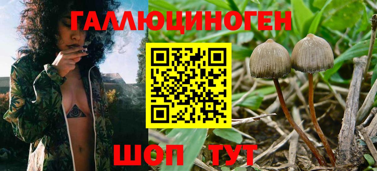Псилоцибиновые грибы GOLDEN TEACHER  Вход с VPN  хочу   Трёхгорный 