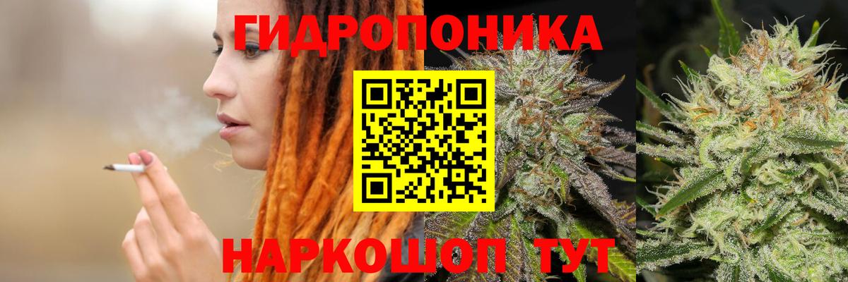 Бошки марихуана THC 21% Трёхгорный